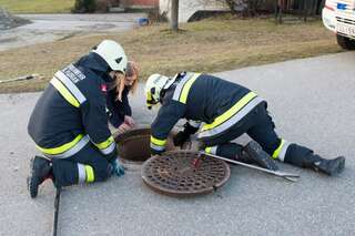Feuerwehrmänner befreiten Kater aus Abwasserkanal 20140205-2779.jpg