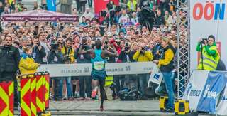 13. Linz Marathon - Laban Mutai gewinnt in 2:08:04 20140406-4157.jpg