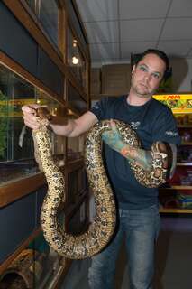 2,5 Meter langen Python in Mühlviertel gefunden 20140429-7222.jpg