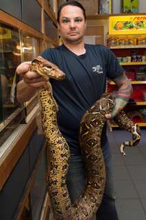 2,5 Meter langen Python in Mühlviertel gefunden 20140429-7225.jpg