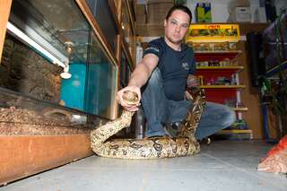 2,5 Meter langen Python in Mühlviertel gefunden 20140429-7229.jpg
