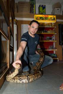 2,5 Meter langen Python in Mühlviertel gefunden 20140429-7231.jpg