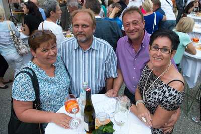 Sommernachtsfest des Lions Clubs Linz 20140613-8930.jpg