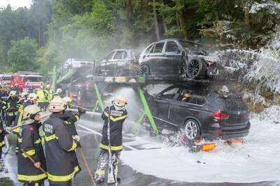 Über 200.000 Euro Schaden bei Brand von Pkw-Transporter 20140625-0132.jpg
