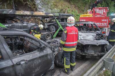 Über 200.000 Euro Schaden bei Brand von Pkw-Transporter 20140625-0169.jpg
