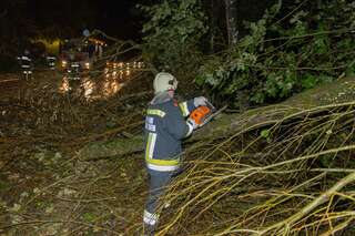 Zahlreiche Feuerwehreinsätze nach heftigen Sturmböen 20141021-9900.jpg