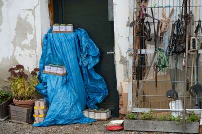 38 tote Hunde - Tiertragödie im Innviertel 20141204-3772.jpg