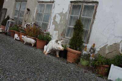 38 tote Hunde - Tiertragödie im Innviertel 20141204-3794.jpg