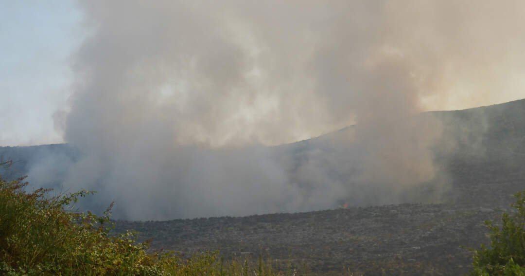 Titelbild: Hitzewelle Waldbrände bedrohen Ferienziele an Adria