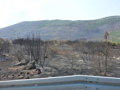 Hitzewelle Waldbrände bedrohen Ferienziele an Adria P1010419.jpg