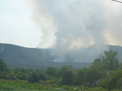 Hitzewelle Waldbrände bedrohen Ferienziele an Adria P1010527.jpg