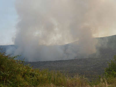 Hitzewelle Waldbrände bedrohen Ferienziele an Adria P1010530.jpg