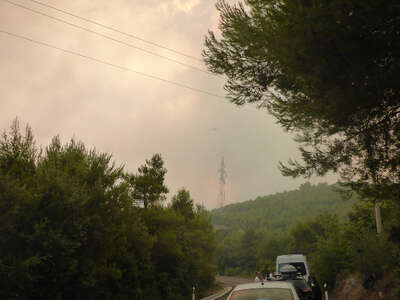 Hitzewelle Waldbrände bedrohen Ferienziele an Adria P1010532.jpg