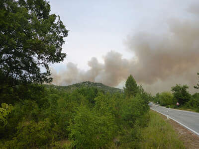 Hitzewelle Waldbrände bedrohen Ferienziele an Adria P1010571.jpg
