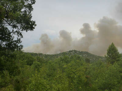 Hitzewelle Waldbrände bedrohen Ferienziele an Adria P1010572.jpg