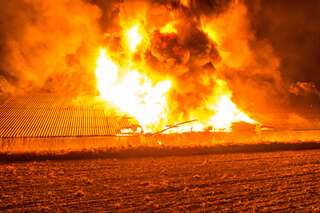 Hühnerstall und Wirtschaftstrakt brannten 20150829-7049.jpg