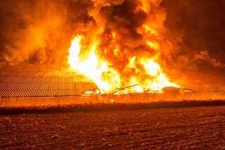 Hühnerstall und Wirtschaftstrakt brannten 20150829-7050.jpg
