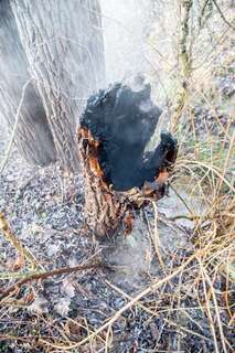 Brand eines Baumstumpfes neben Wanderweg 20151228-6732.jpg