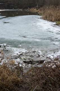 Bub im Eis eingebrochen - Ersthelfer rasch zur Stelle 20160110-7724.jpg