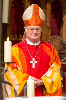 Amtseinführung von Bischof Scheuer in Linzer Mariendom 20160117-8807.jpg
