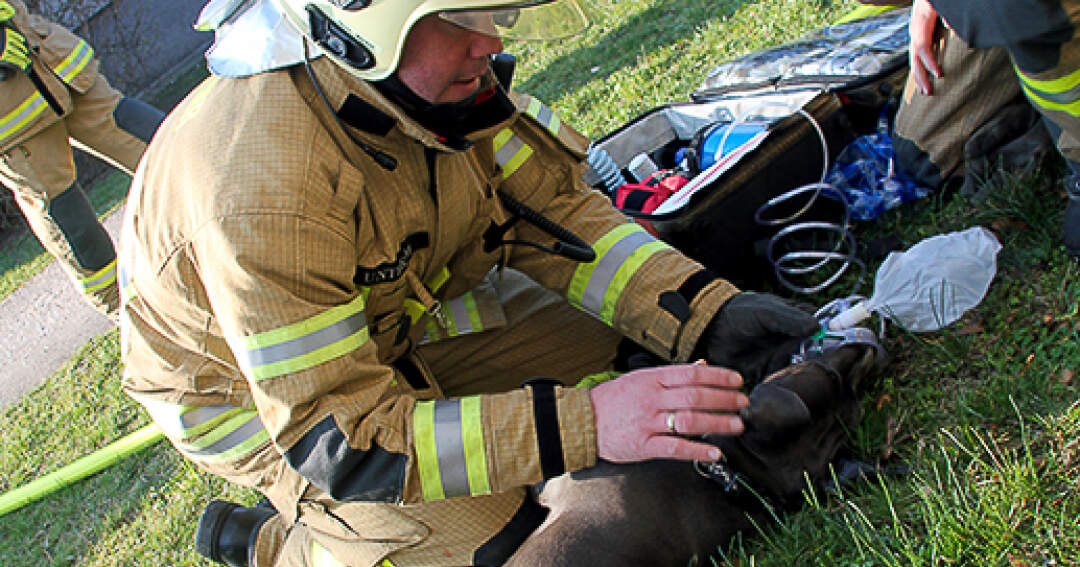 Titelbild: Brandstiftung - Hund gerettet