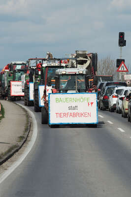 Protestfahrt der OÖ-Milch-Bauern nach Wien 20160330-2939.jpg