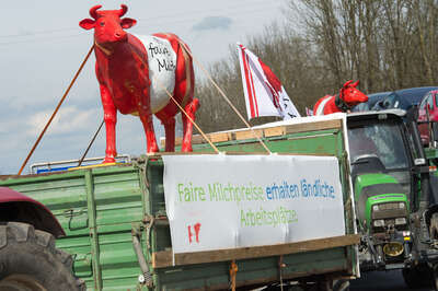 Protestfahrt der OÖ-Milch-Bauern nach Wien 20160330-2940.jpg