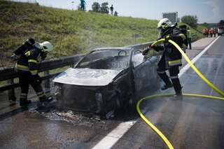 Cabrio geriet auf Westautobahn in Brand foke_kfz_brand_10.jpg