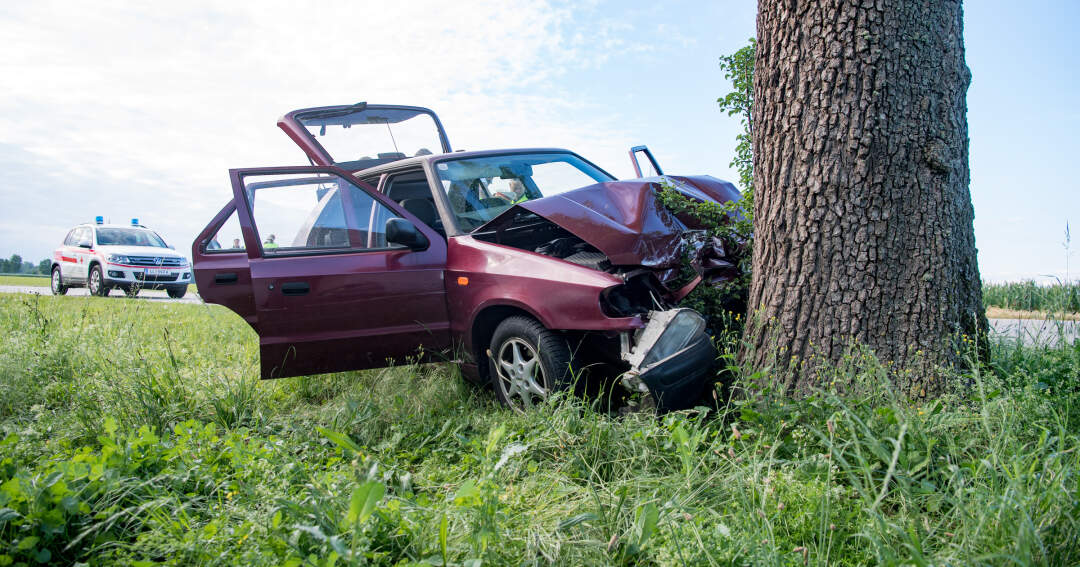 Titelbild: Mit Auto gegen Baum geprallt - Lenker tot