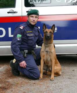 Trafik überfallen - Polizeihund stellte Räuber PDHF_Obermueller.jpg