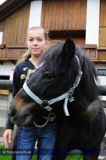 Tierquäler schnitt Pony den Hals auf kerschi_20091009_tierquler_05.jpg