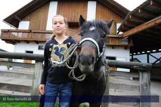 Tierquäler schnitt Pony den Hals auf kerschi_20091009_tierquler_15.jpg