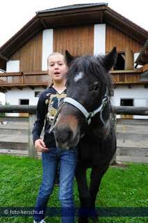 Tierquäler schnitt Pony den Hals auf kerschi_20091009_tierquler_21.jpg