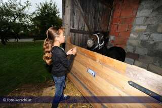 Tierquäler schnitt Pony den Hals auf kerschi_20091009_tierquler_30.jpg