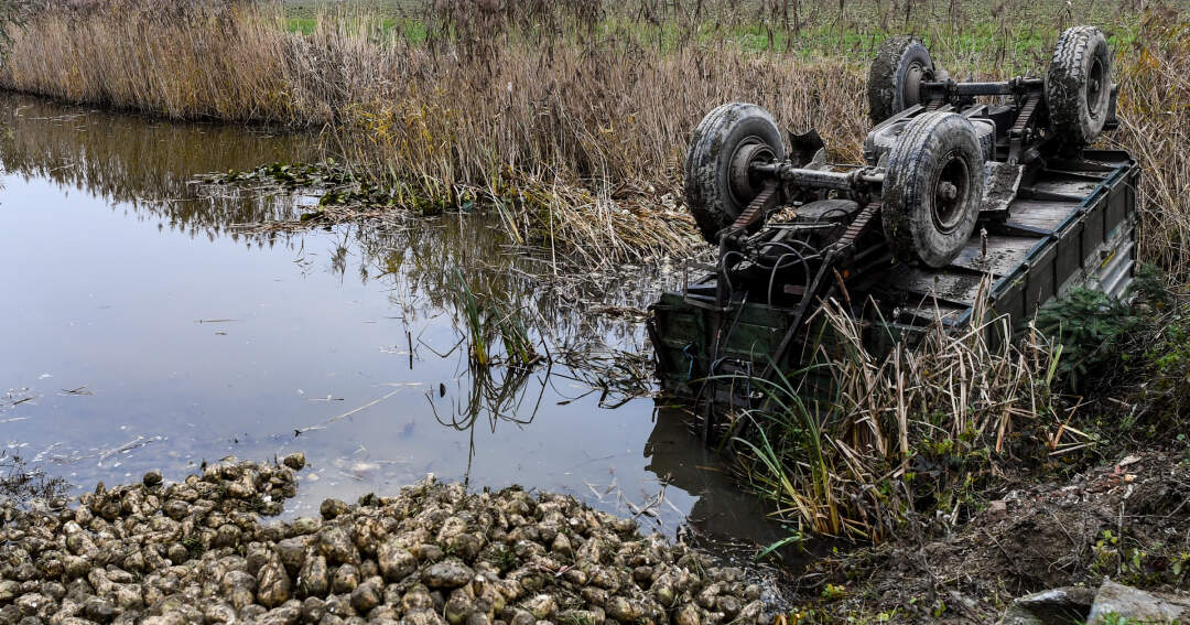 Titelbild: Vier Tonnen Zuckerrüben landeten in Teich
