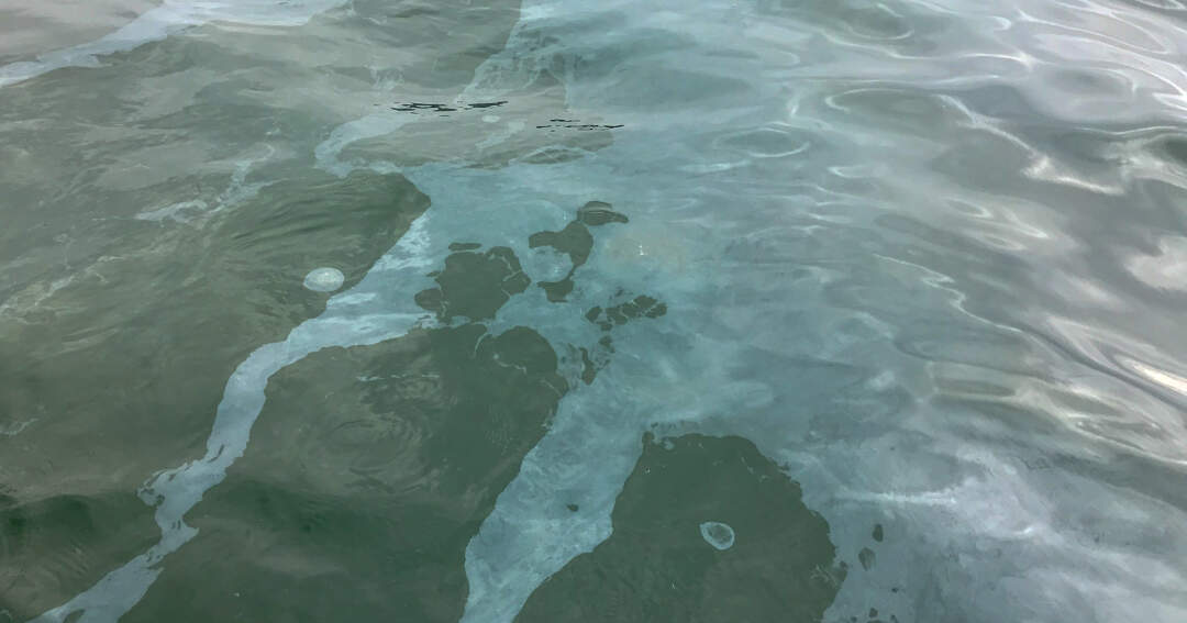 Titelbild: Ölverschmutzung auf der Donau