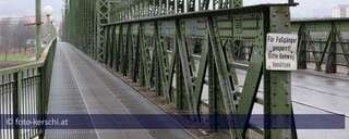 Linzer Eisenbahnbrücke ist ein Sanierungsfall foto-kerschi_2009_12_01_linzer_eisenbahnbrcke_47.jpg