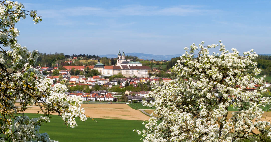 Titelbild: Blütenpracht in Oberösterreich
