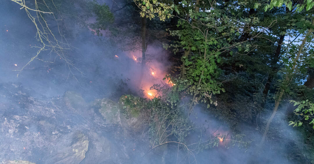 Titelbild: Waldbrand in Linz