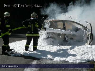 Fahrzeugbrand: Lenkerin unverletzt dscn6769.jpg