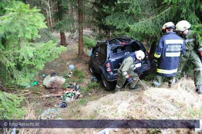 Tödlich verunglückt: Mit Jeep von Waldweg abgekommen foto-kerschi_13-04-2010_waldweg_abgekommen_75.jpg