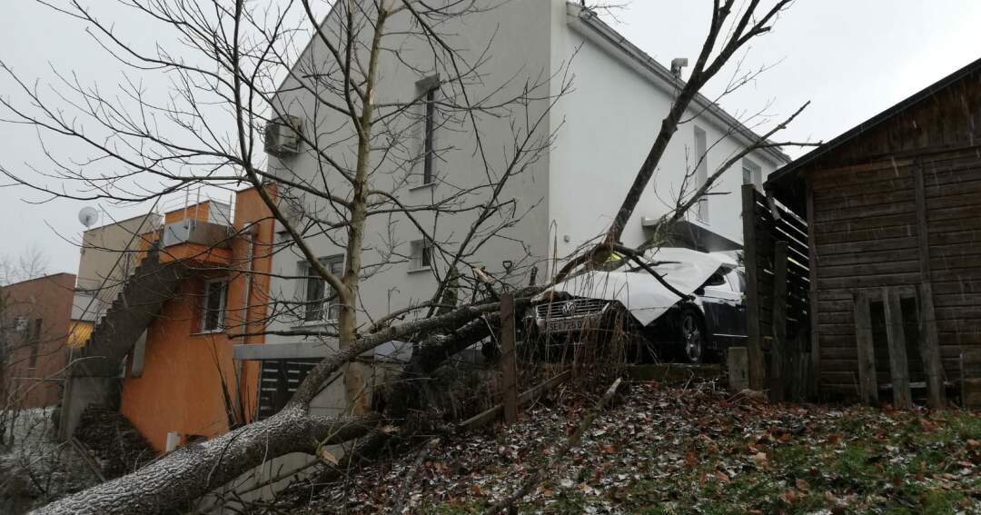 Titelbild: Baum stürzte auf Auto, Hausfassade beschädigt