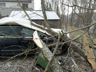 Baum stürzte auf Auto, Hausfassade beschädigt IMG-20190102-WA0005.jpg