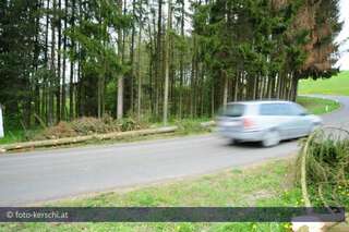 Verkehrsunfall durch Holzschlägerungsarbeiten foto-kerschi_01-05-2010_baum-auf-auto_21.jpg