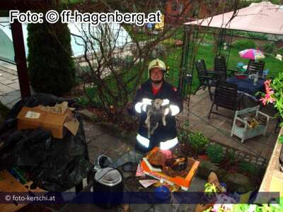 Hund bei Wohnungsbrand gerettet ff-hagenberg.jpg