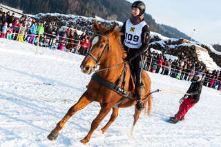 2000 Besucher bei Pferdeschlittenrennen foke_20190120_160312-2.jpg