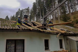 Hoher Sachschaden durch umgestürzte Bäume FOKE_2019031110390010_013.jpg