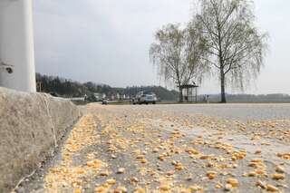 LKW verliert sieben Tonnen Mais auf 1000m Bundesstraße Mais_Muehldorf_20180409_04.jpg