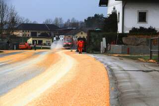 LKW verliert sieben Tonnen Mais auf 1000m Bundesstraße Mais_Muehldorf_20180409_09.jpg