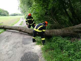 Baum blockierte Straße E190600824_05.jpeg